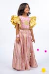 JILMIL DREAMWEAR_Pink Embroidery Light Designer Girls Lehenga Set _Online_at_Aza_Fashions