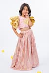 Buy_JILMIL DREAMWEAR_Pink Embroidery Light Designer Girls Lehenga Set _at_Aza_Fashions