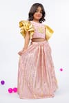 Shop_JILMIL DREAMWEAR_Pink Embroidery Light Designer Girls Lehenga Set _Online_at_Aza_Fashions