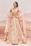 Buy_Mishru_Gold Organza, Silk Embroidery, Sequins Round Neck Pylora Lehenga Set _at_Aza_Fashions
