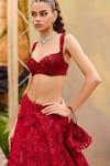 Shop_Mishru_Red Organza, Tulle Embroidery Scoop Neck Ellisiana Lehenga Set _Online_at_Aza_Fashions