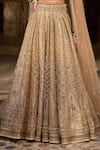 Shop_Cedar & Pine_Ivory Organza, Tulle Sequins, Embroidery, Beads And Gold Embellished Lehenga Set _Online_at_Aza_Fashions