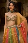 Shop_Cedar & Pine_Multi Color Organza, Tulle Sequins, Embroidery, Beads Sweetheart Lehenga Set _Online_at_Aza_Fashions