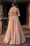 Shop_Cedar & Pine_Blush Organza, Tulle Sequins, Beads, Embroidery Pink Ghulzar Classic Lehenga Set _at_Aza_Fashions