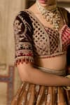 Shop_Cedar & Pine_Brown Silk, Organza, Velvet Sequins, Beads, Embroidery Round Raw Lehenga Set _Online_at_Aza_Fashions