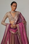 Shop_Vvani by Vani Vats_Beige Organza, Georgette Gota Patti V-neck Mud Mauve Multicolor Lehenga Set _Online_at_Aza_Fashions
