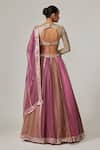 Shop_Vvani by Vani Vats_Beige Organza, Georgette Gota Patti V-neck Mud Mauve Multicolor Lehenga Set _at_Aza_Fashions