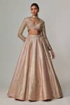 Buy_Vvani by Vani Vats_Beige Georgette Gota Patti, Mirrors V-neck Deep V Crop Top And Skirt Set _at_Aza_Fashions
