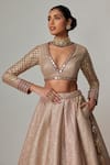 Buy_Vvani by Vani Vats_Beige Georgette Gota Patti, Mirrors V-neck Deep V Crop Top And Skirt Set _Online_at_Aza_Fashions
