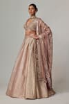 Vvani by Vani Vats_Beige Georgette, Organza Gota Patti V-neck Deep Embroidered Lehenga Set _Online_at_Aza_Fashions