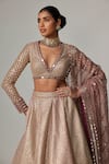 Vvani by Vani Vats_Beige Georgette, Organza Gota Patti V-neck Deep Embroidered Lehenga Set _at_Aza_Fashions