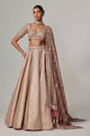 Buy_Vvani by Vani Vats_Beige Georgette, Organza Gota Patti Sweetheart Neck Deep Metallic Lehenga Set _at_Aza_Fashions