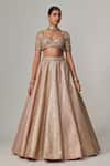 Vvani by Vani Vats_Beige Georgette, Organza Gota Patti Sweetheart Neck Deep Metallic Lehenga Set _at_Aza_Fashions