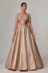 Vvani by Vani Vats_Beige Georgette, Organza Gota Patti Sweetheart Neck Deep Metallic Lehenga Set _at_Aza_Fashions