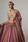 Vvani by Vani Vats_Beige Organza, Georgette Sequins, Gota Patti V-neck Mud Mauve Chita Lehenga Set _Online_at_Aza_Fashions