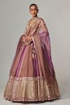 Shop_Vvani by Vani Vats_Beige Organza, Georgette Sequins, Gota Patti V-neck Mud Mauve Chita Lehenga Set _Online_at_Aza_Fashions