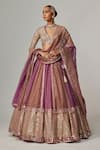 Buy_Vvani by Vani Vats_Beige Organza, Georgette Sequins, Gota Patti V-neck Mud Mauve Chita Lehenga Set _at_Aza_Fashions