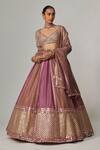 Buy_Vvani by Vani Vats_Multi Color Organza, Georgette Sequins, Gota Mud Mauve Multicolor Lehenga Set _at_Aza_Fashions