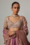 Vvani by Vani Vats_Multi Color Organza, Georgette Sequins, Gota Mud Mauve Multicolor Lehenga Set _Online_at_Aza_Fashions