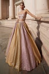 Vvani by Vani Vats_Mustard Georgette, Organza Embroidery, Gota Patti Corset Skirt With Dupatta Set _at_Aza_Fashions