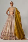 Vvani by Vani Vats_Multi Color Georgette, Organza Sequins, Gota Mustard Heavy Metallic Lehenga Set _Online_at_Aza_Fashions