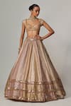 Buy_Vvani by Vani Vats_Multi Color Georgette, Organza Sequins, Gota Mustard Heavy Metallic Lehenga Set _Online_at_Aza_Fashions