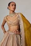 Shop_Vvani by Vani Vats_Multi Color Georgette, Organza Sequins, Gota Mustard Heavy Metallic Lehenga Set _Online_at_Aza_Fashions