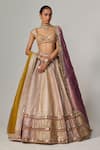 Shop_Vvani by Vani Vats_Multi Color Georgette, Organza Mustard Multicolor Heavy Metallic Lehenga Set _Online_at_Aza_Fashions