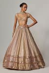 Vvani by Vani Vats_Multi Color Georgette, Organza Gota Patti Multicolor Heavy Metallic Lehenga Set _Online_at_Aza_Fashions