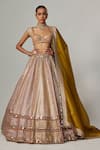 Buy_Vvani by Vani Vats_Multi Color Georgette, Organza Gota Patti Multicolor Heavy Metallic Lehenga Set _Online_at_Aza_Fashions