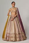 Buy_Vvani by Vani Vats_Multi Color Georgette, Organza Gota Patti Multicolor Heavy Metallic Lehenga Set _at_Aza_Fashions