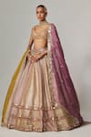 Shop_Vvani by Vani Vats_Multi Color Georgette, Organza Gota Patti Multicolor Heavy Metallic Lehenga Set _Online_at_Aza_Fashions
