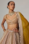 Vvani by Vani Vats_Multi Color Georgette, Organza Gota Patti Multicolor Heavy Metallic Lehenga Set _at_Aza_Fashions