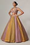 Buy_Vvani by Vani Vats_Multi Color Georgette Gota Patti V-neck Multicolor Lehenga Set With Crop Top _at_Aza_Fashions