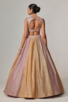 Shop_Vvani by Vani Vats_Multi Color Georgette, Organza Gota Patti Multicolor Lehenga Set With Dupatta _at_Aza_Fashions