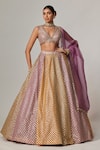 Buy_Vvani by Vani Vats_Multi Color Georgette, Organza Gota Patti Multicolor Lehenga Set With Dupatta _at_Aza_Fashions