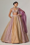 Shop_Vvani by Vani Vats_Multi Color Georgette, Organza Gota Patti Multicolor Lehenga Set With Dupatta _Online_at_Aza_Fashions
