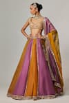 Vvani by Vani Vats_Mustard Organza, Georgette Gota Patti Plunge Neck Multicolor Linear Lehenga Set _Online_at_Aza_Fashions