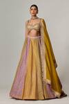Vvani by Vani Vats_Multi Color Georgette, Organza Gota Patti, Multicolor Big Check Lehenga Set _Online_at_Aza_Fashions