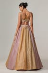 Shop_Vvani by Vani Vats_Multi Color Georgette, Organza Gota Patti, Multicolor Big Check Lehenga Set _at_Aza_Fashions
