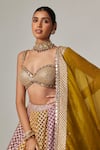 Buy_Vvani by Vani Vats_Multi Color Georgette, Organza Gota Patti, Multicolor Big Check Lehenga Set _Online_at_Aza_Fashions