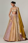 Buy_Vvani by Vani Vats_Multi Color Georgette, Organza Gota Patti, Multicolor Big Check Lehenga Set _at_Aza_Fashions