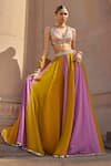 Vvani by Vani Vats_Multi Color Organza, Georgette Gota Patti V-neck Multicolor Linear Lehenga Set _Online_at_Aza_Fashions