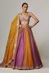 Buy_Vvani by Vani Vats_Multi Color Organza, Georgette Gota Patti V-neck Multicolor Linear Lehenga Set _at_Aza_Fashions