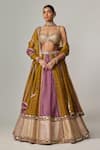 Buy_Vvani by Vani Vats_Multi Color Organza, Georgette Gota Patti, Multicolor Embroidered Lehenga Set _at_Aza_Fashions