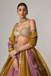 Buy_Vvani by Vani Vats_Multi Color Organza, Georgette Gota Patti, Multicolor Embroidered Lehenga Set _Online_at_Aza_Fashions