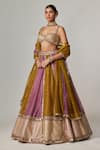 Shop_Vvani by Vani Vats_Multi Color Organza, Georgette Gota Patti, Multicolor Embroidered Lehenga Set _Online_at_Aza_Fashions