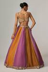 Shop_Vvani by Vani Vats_Multi Color Organza, Georgette Gota Patti, Mustard Multicolor Lehenga Set _at_Aza_Fashions