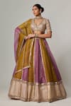 Shop_Vvani by Vani Vats_Multi Color Organza, Georgette Sequins, Multicolor Embroidered Lehenga Set _at_Aza_Fashions