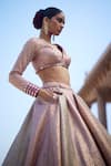 Vvani by Vani Vats_Blush Georgette Gota Patti V-neck Multicolor Embroidered Lehenga Set _Online_at_Aza_Fashions